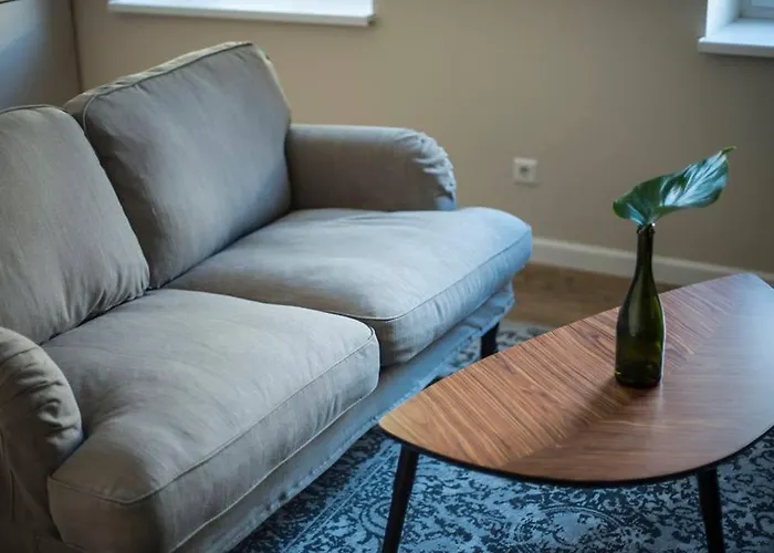 Smartflat & New Center דירה *